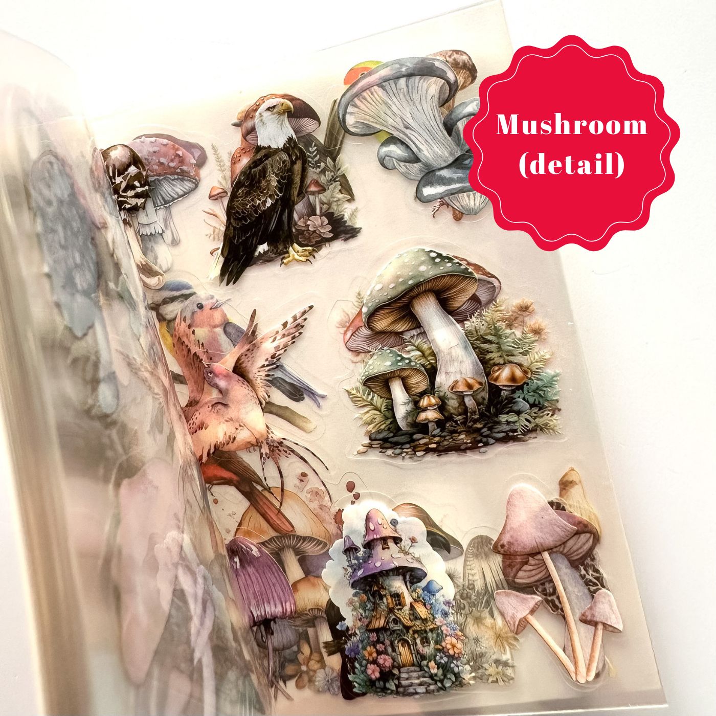 Decorative Sticker sheet books - Nature