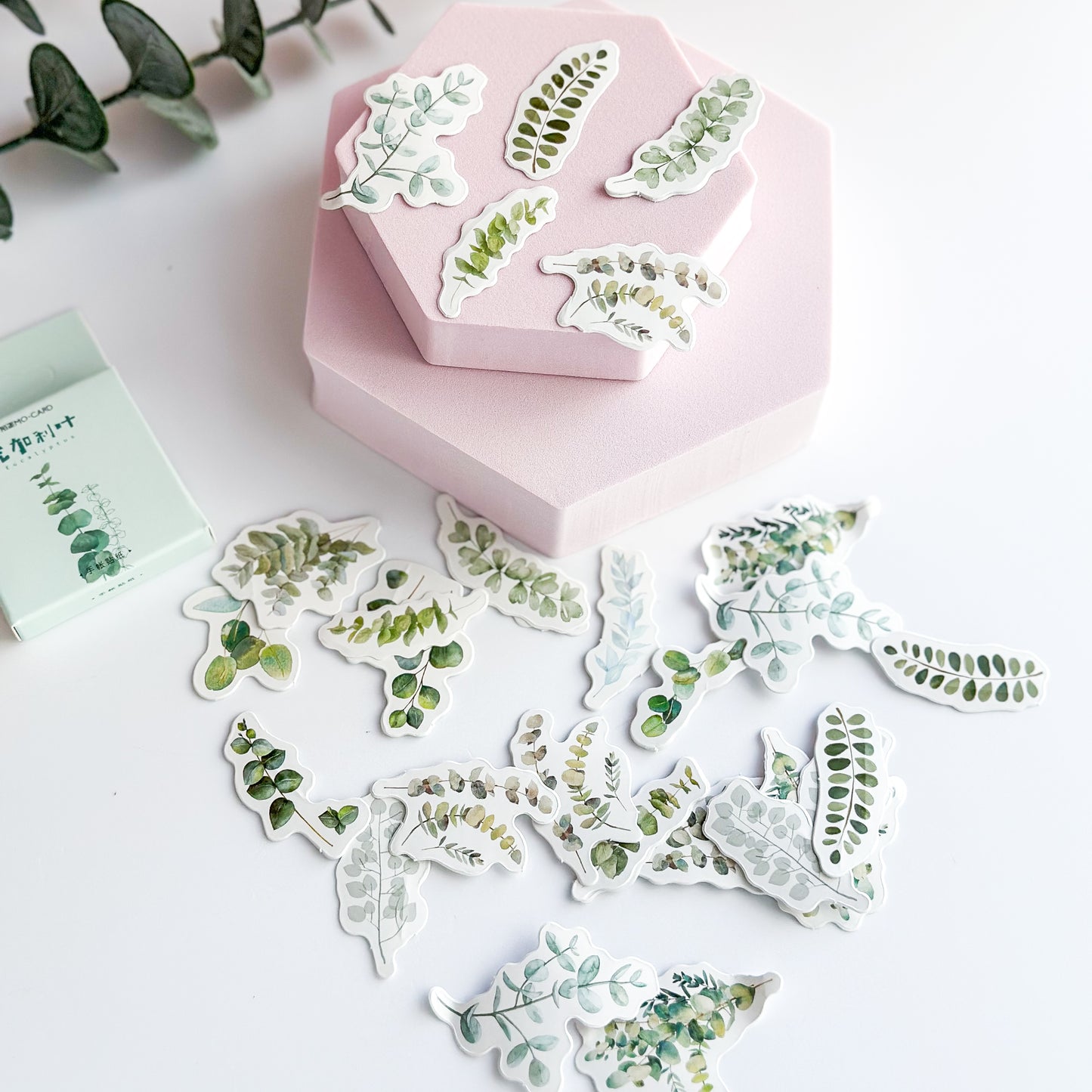 Eucalyptus sticker set