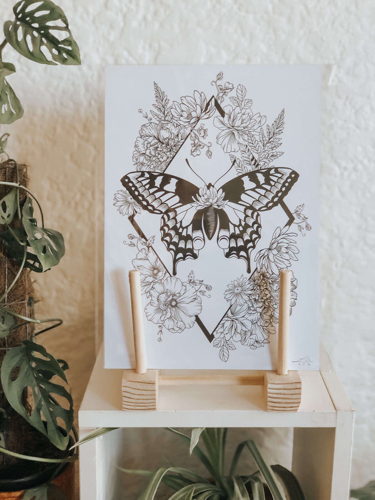 Botanical moth art print - slighty damaged stock