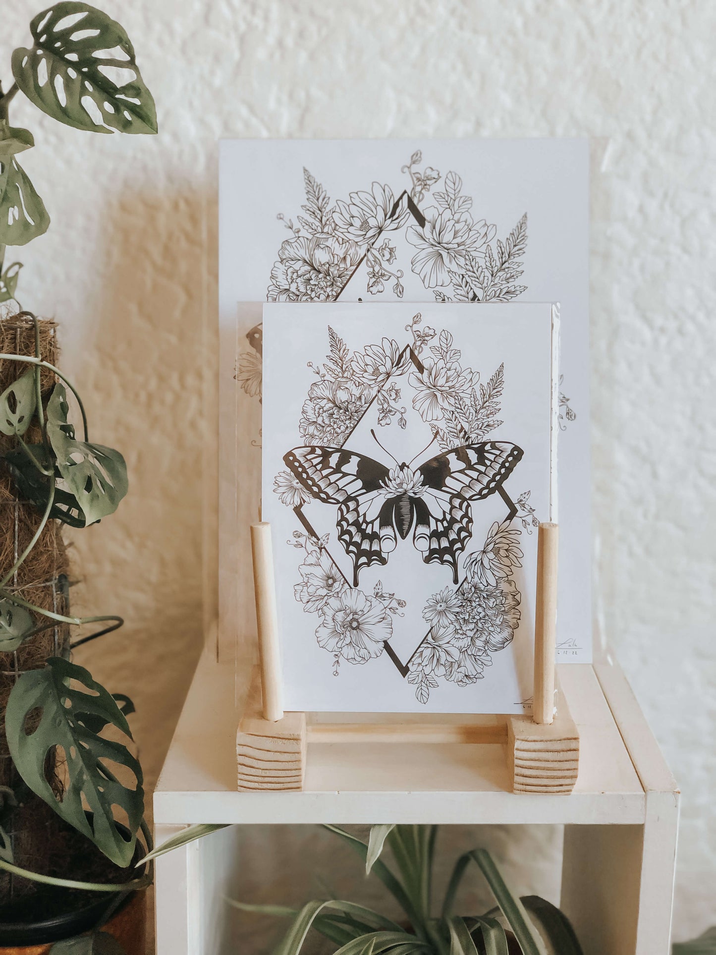 Botanical moth art print - slighty damaged stock