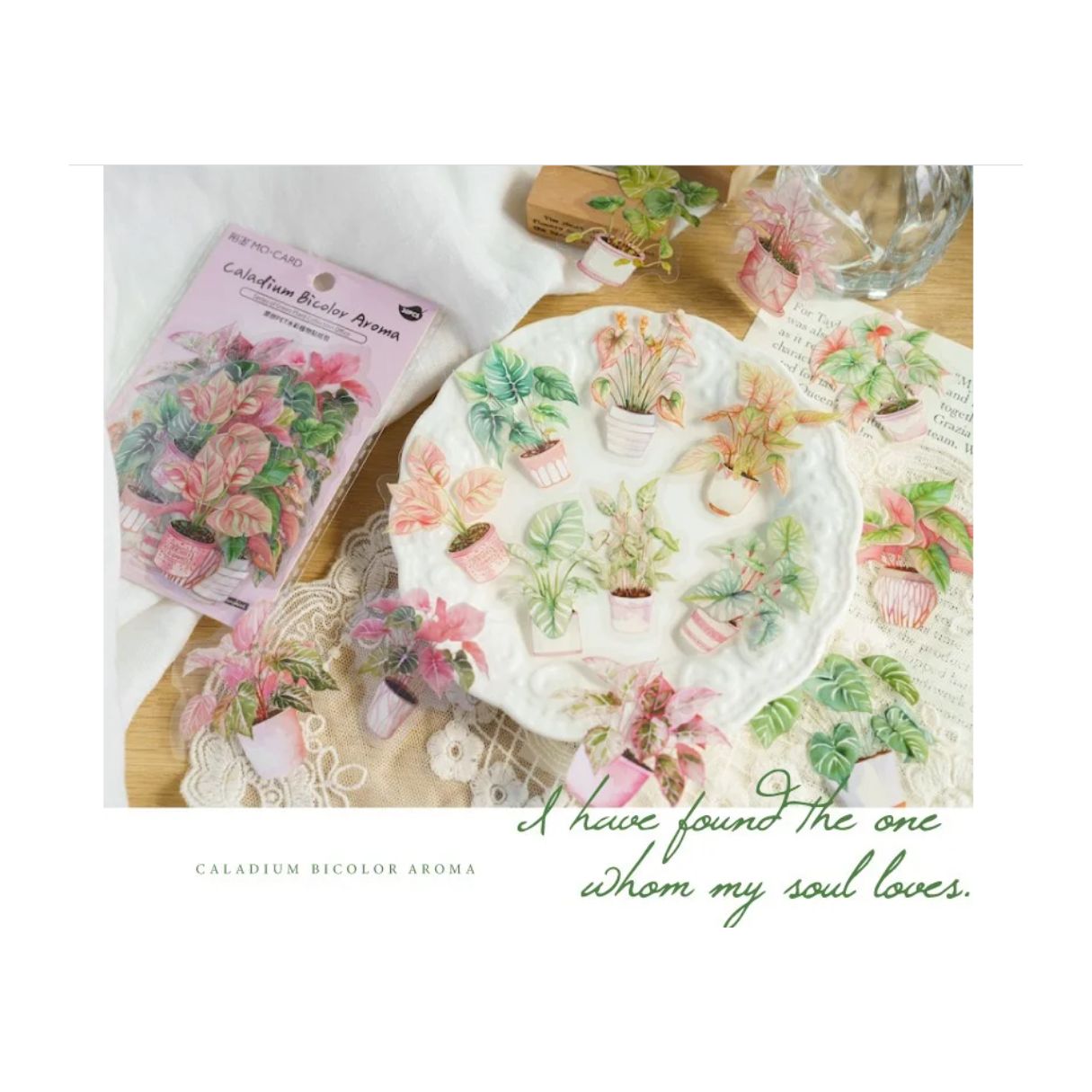 Greenery PET sticker pack - Potted houseplants - Pink - 30pcs