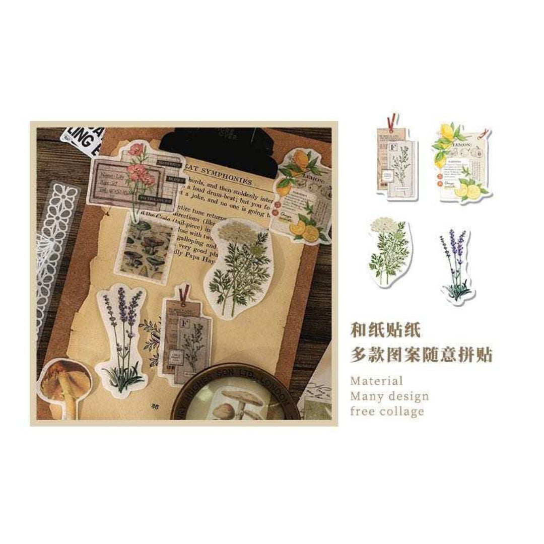 Nature themed mega ephemera bundle - 260pcs