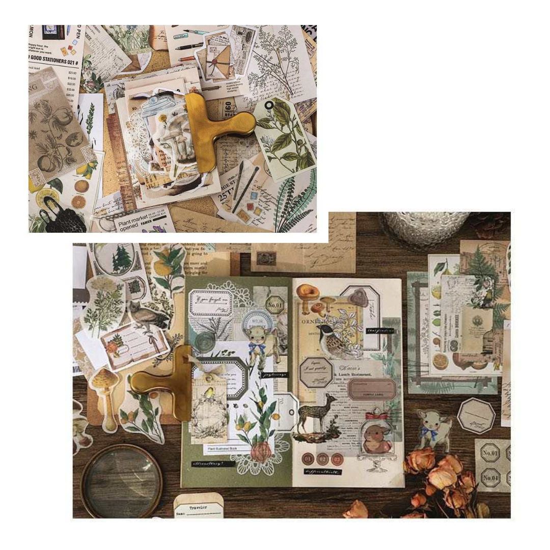 Nature themed mega ephemera bundle - 260pcs