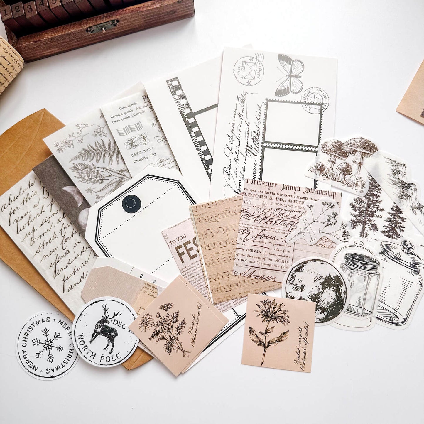 Paper and sticker bundle - Moonlight forest