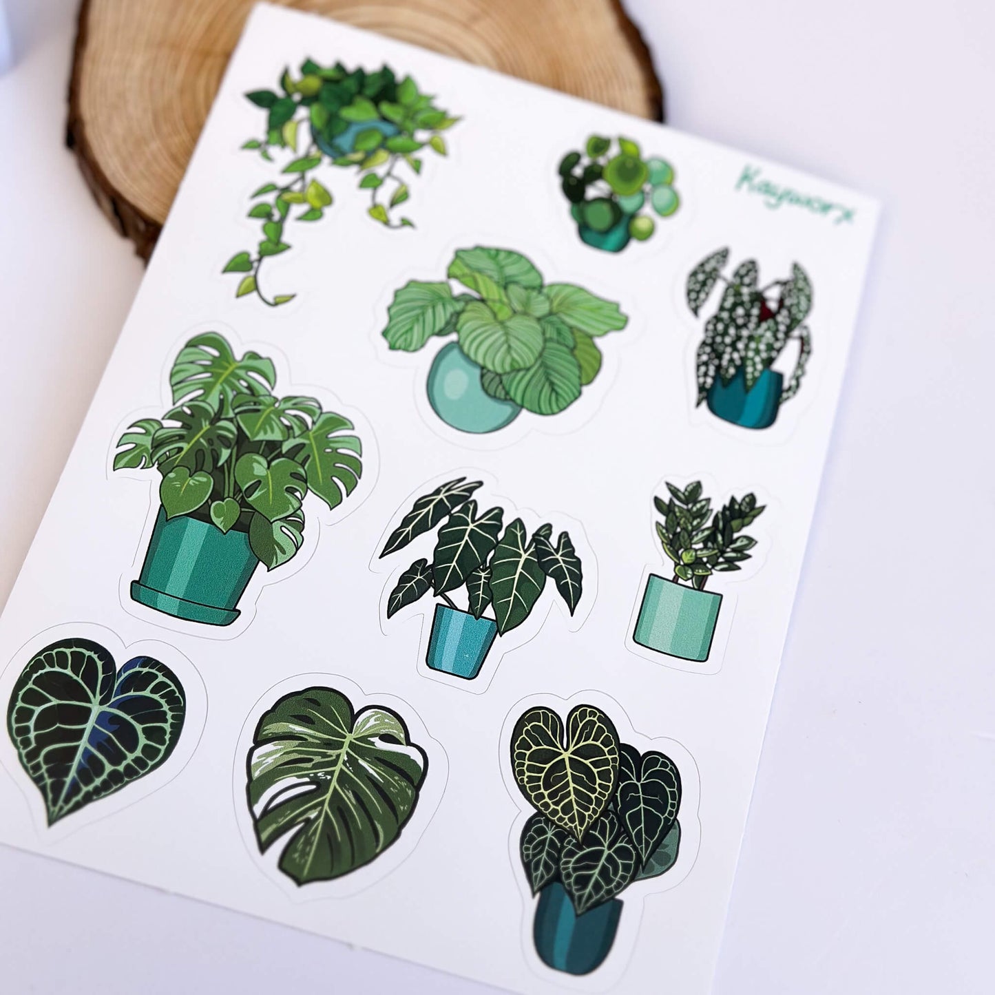 Plants vinyl sticker sheet - Kayworx
