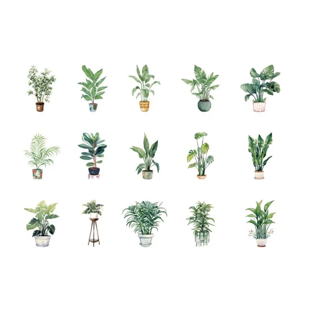 Greenery PET sticker pack - Potted house plants style 1 - 30pcs