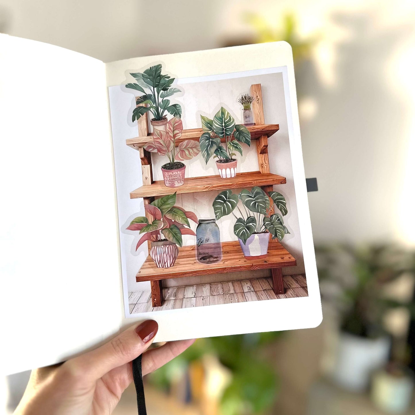 Sticker Sheet - Empty Wooden Shelves