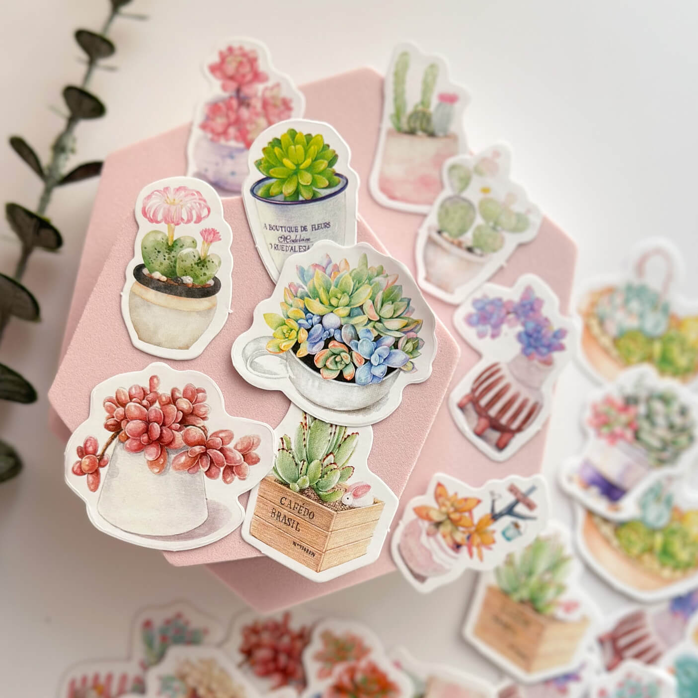 Colourful succulents sticker set