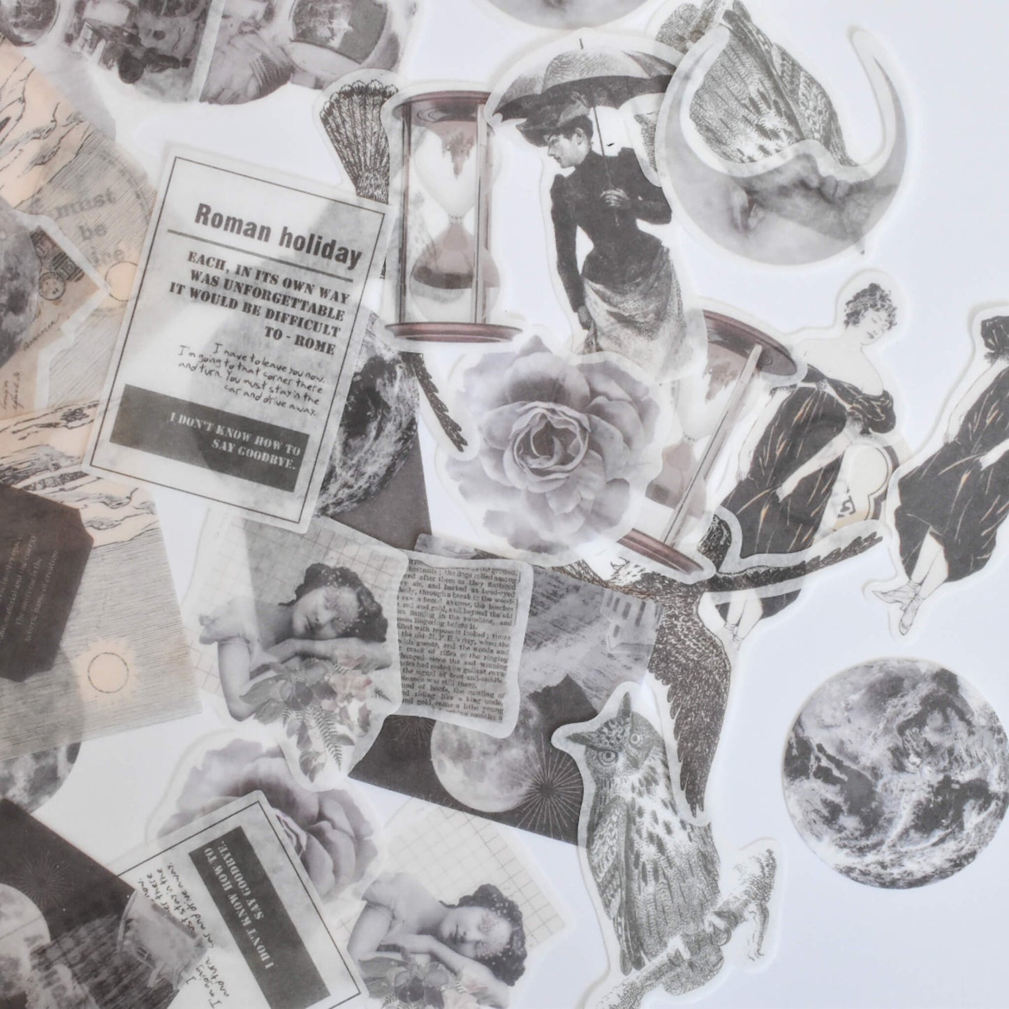 Aquatic academia ephemera bundle - 100 pcs washi sticker detail