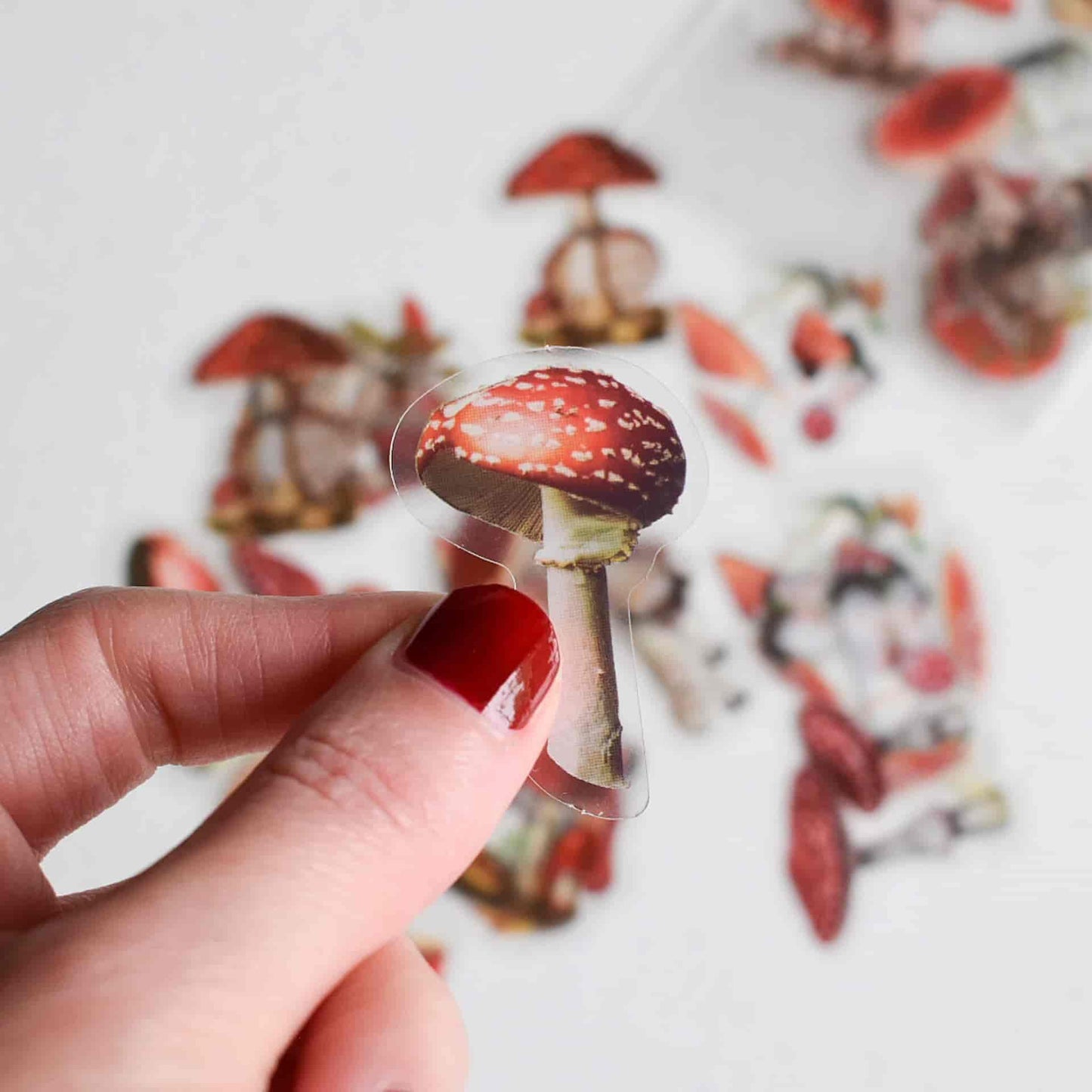 Sticker pack - Mushrooms
