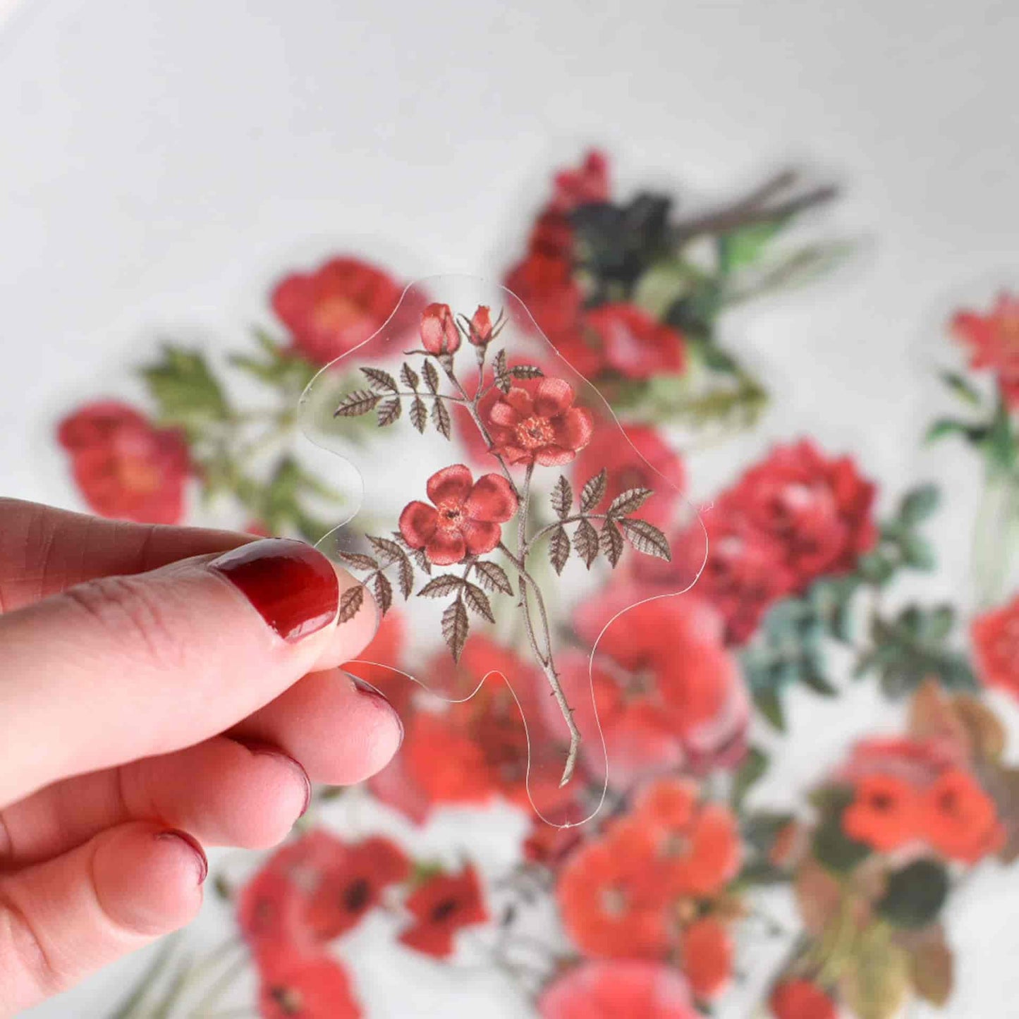 Flower sticker pack - Roses & poppy flowers
