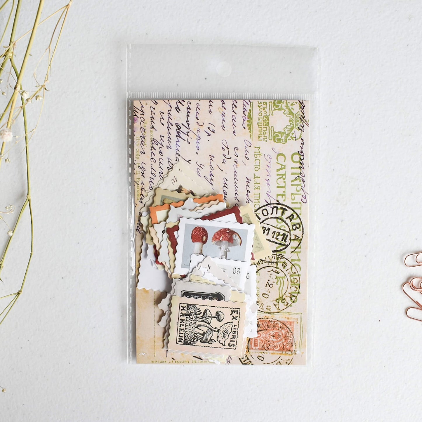 Mushroom stamp sticker set