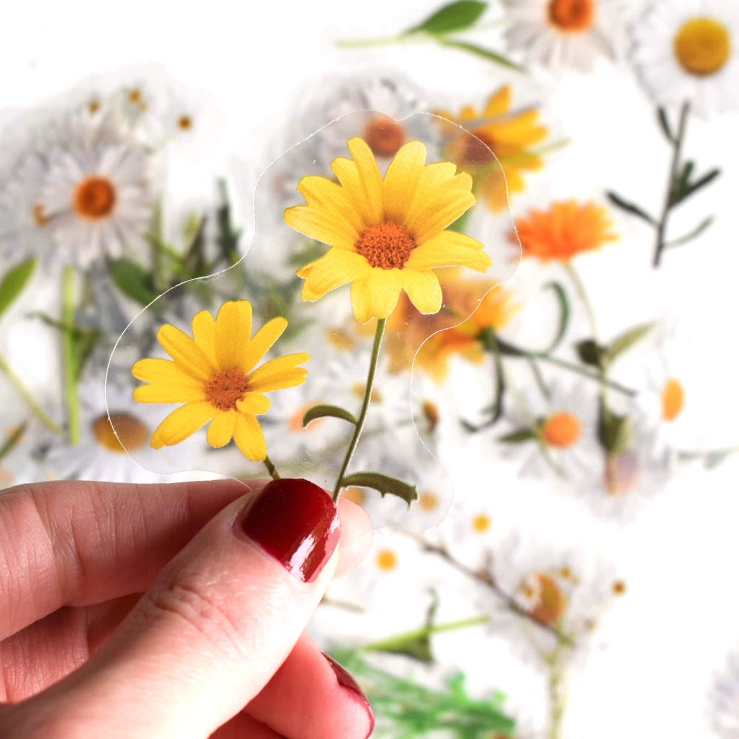 Flower sticker pack - Daisy