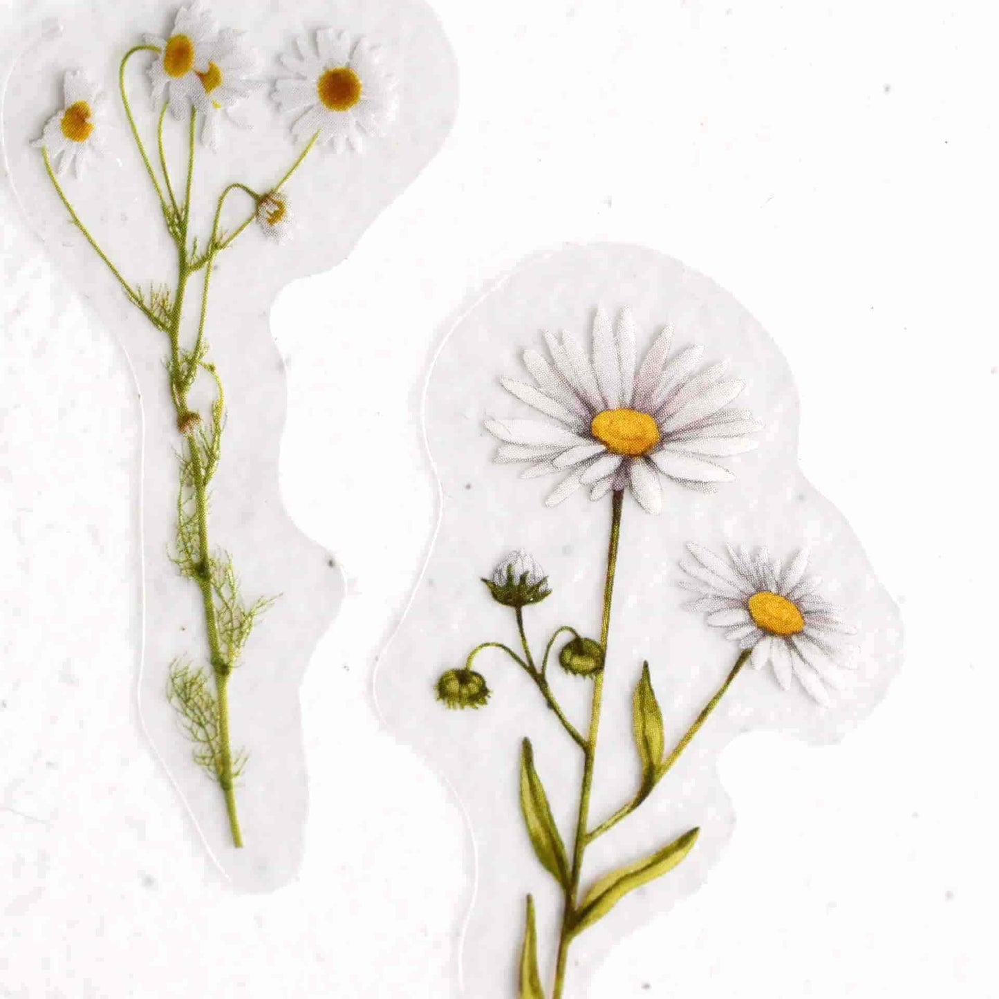 Flower sticker pack - Daisy