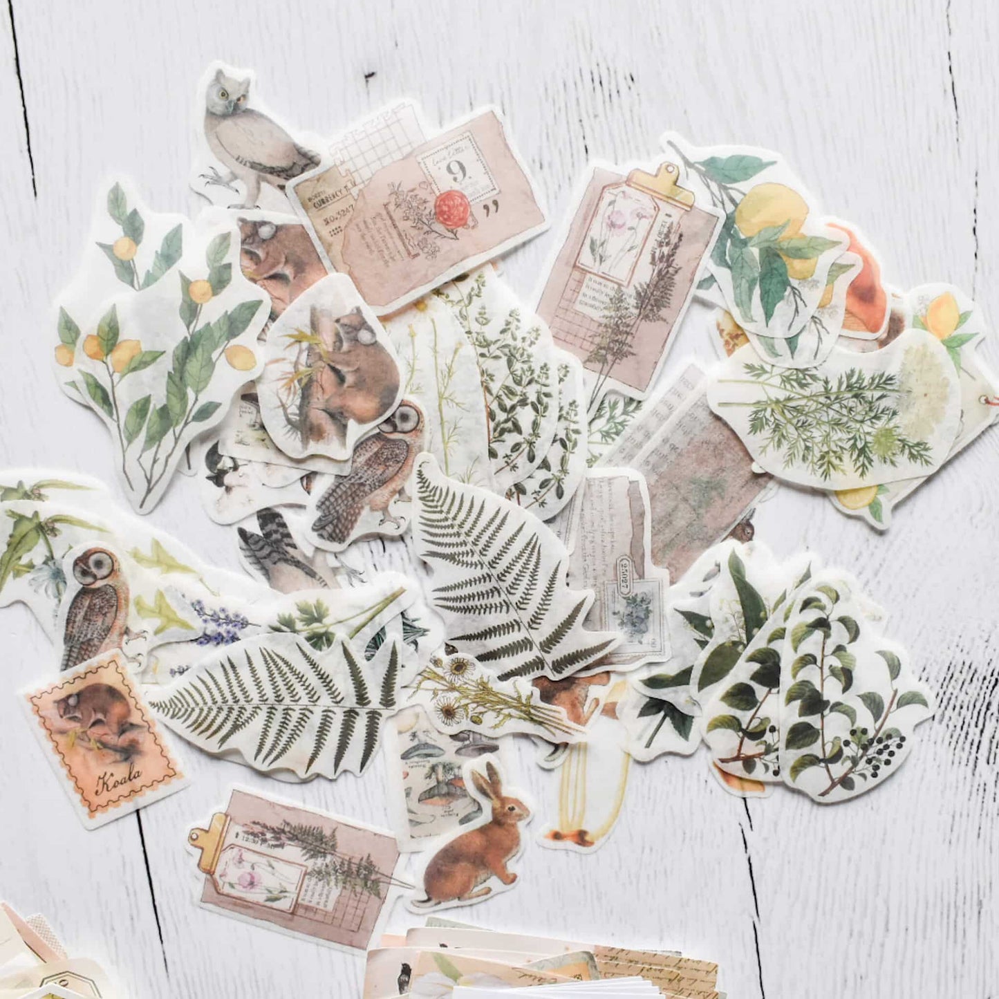 Nature themed mega ephemera bundle - 260pcs