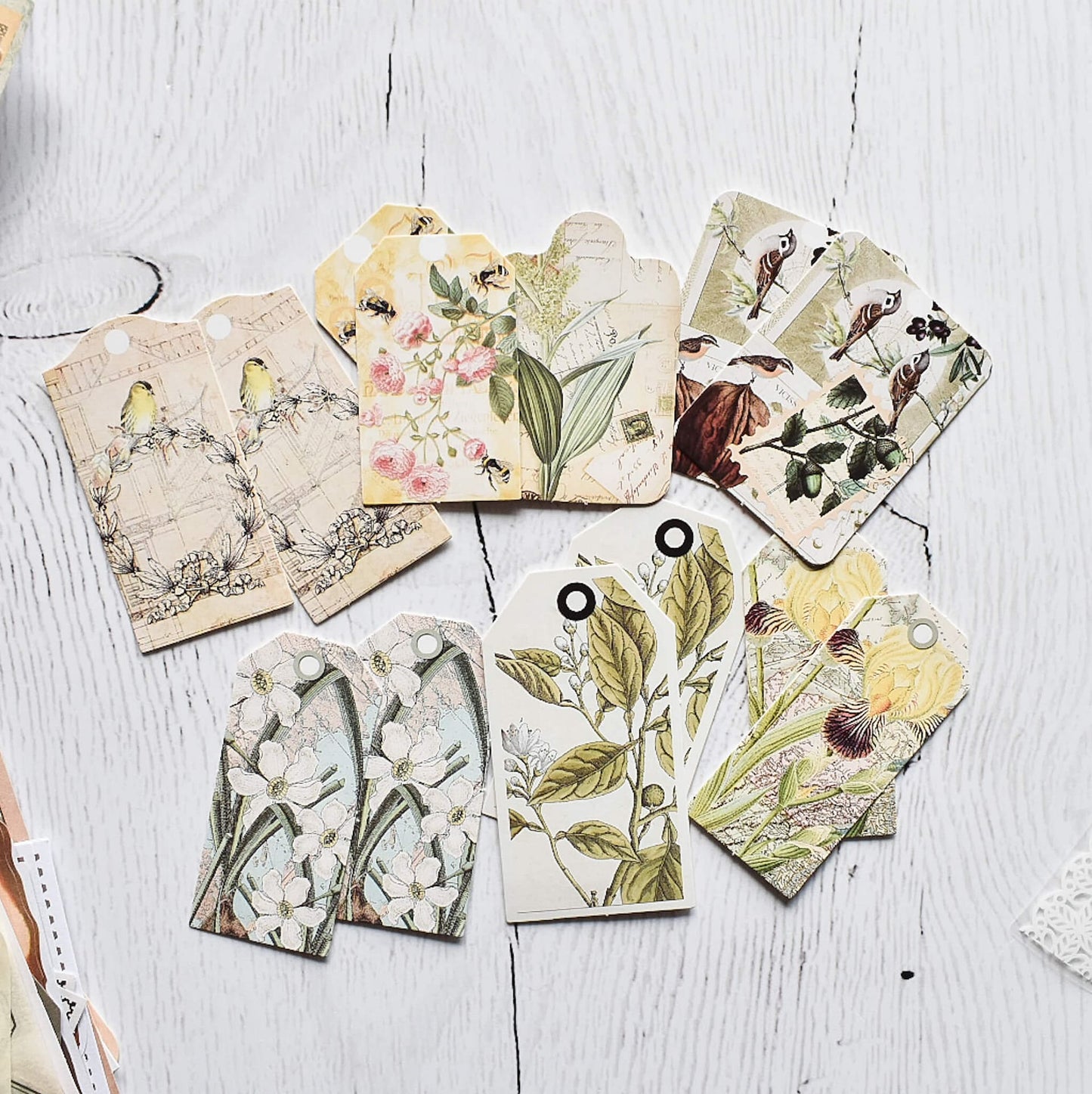 Nature themed mega ephemera bundle - 260pcs