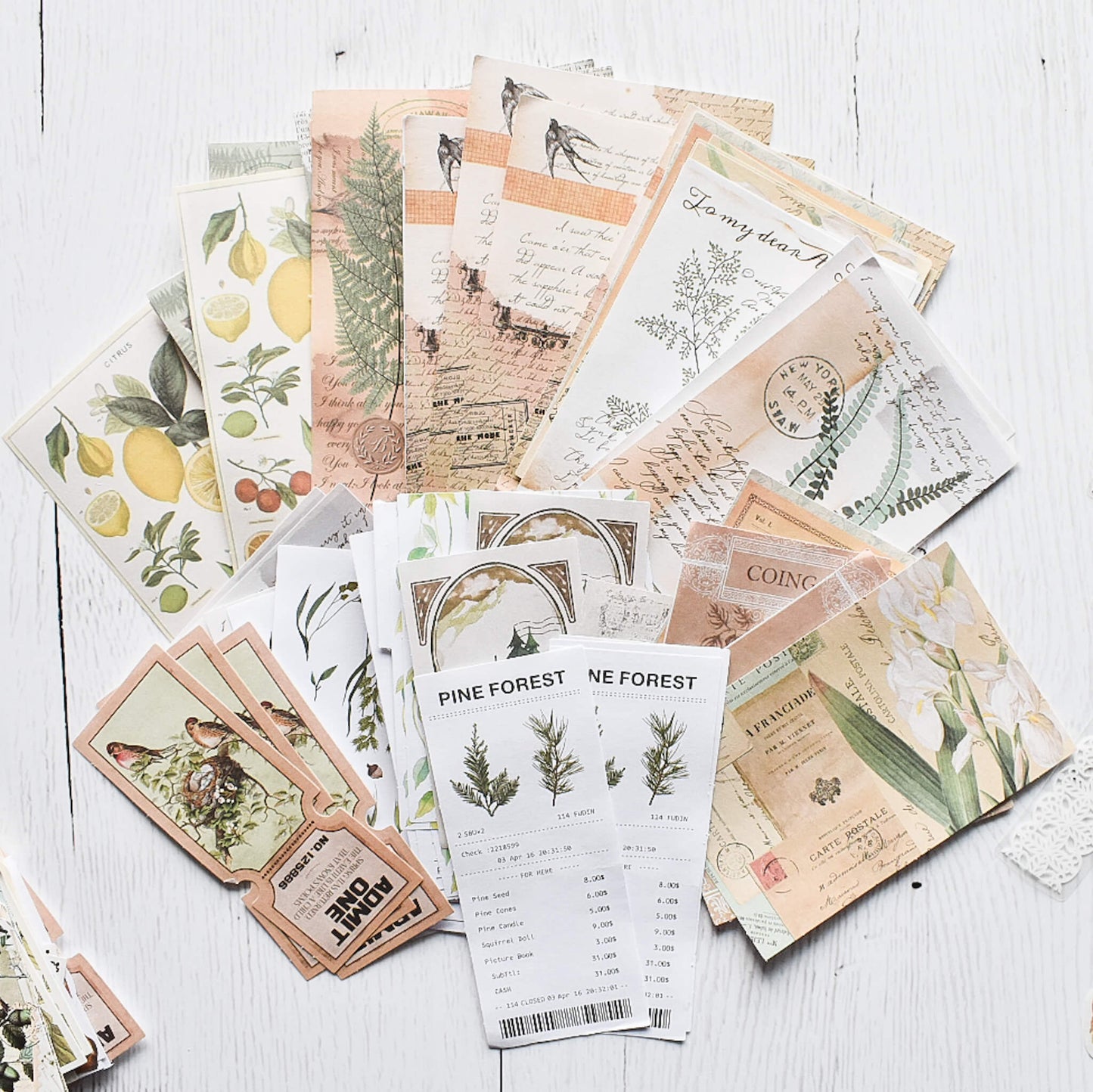 Nature themed mega ephemera bundle - 260pcs
