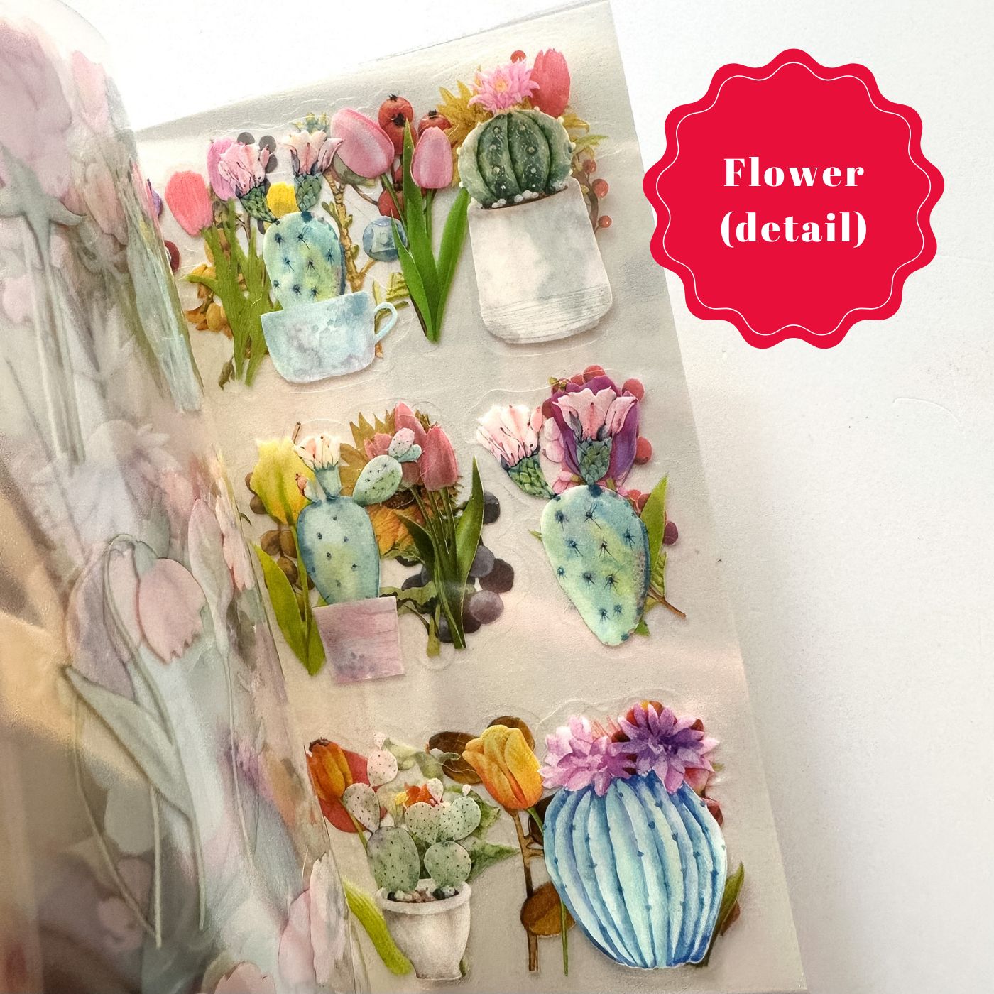 Decorative Sticker sheet books - Nature