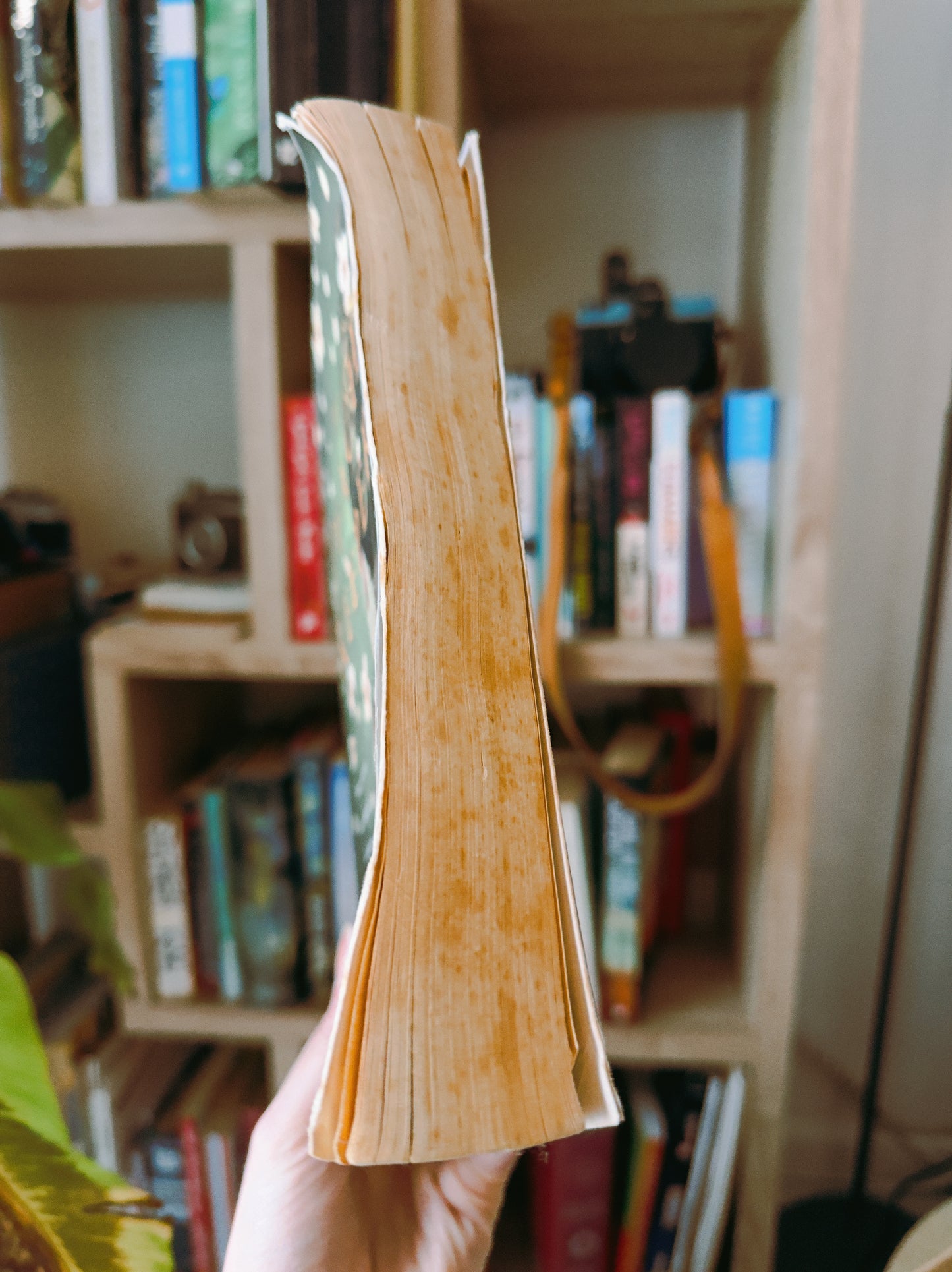 The peach keeper - 2nd hand