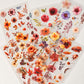 Autumn Botanical PET sticker sheets