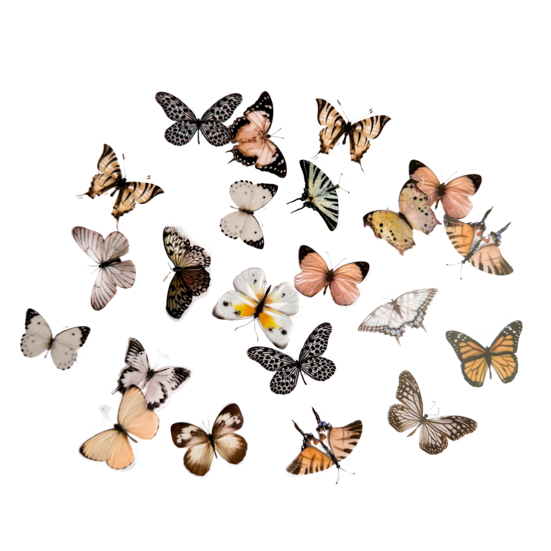 White butterflies PET sticker pack - 40pcs