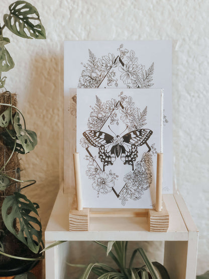 Botanical moth art print - slighty damaged stock