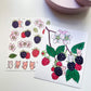 FabriKay Fruit Fairy Sticker Sheet & Art Print Set - Raspberry Mice