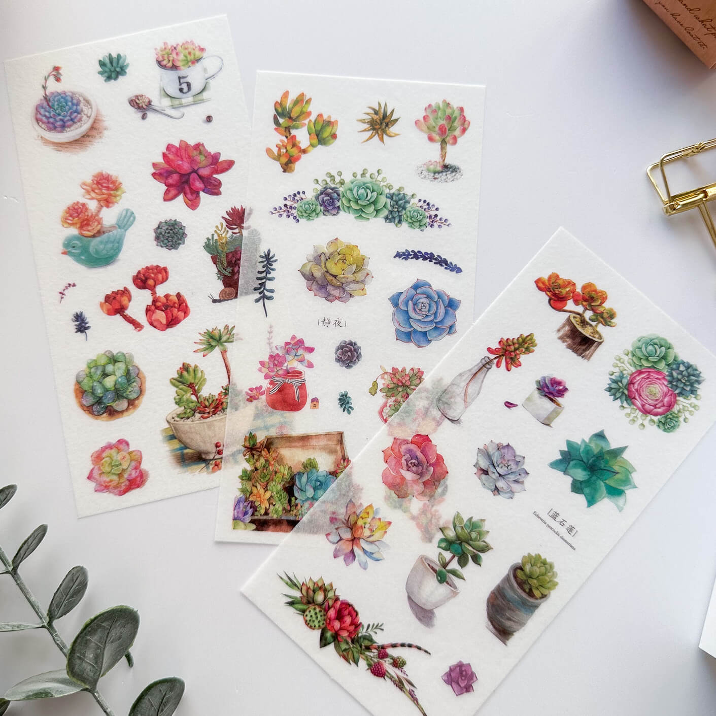 Succulents washi sticker set