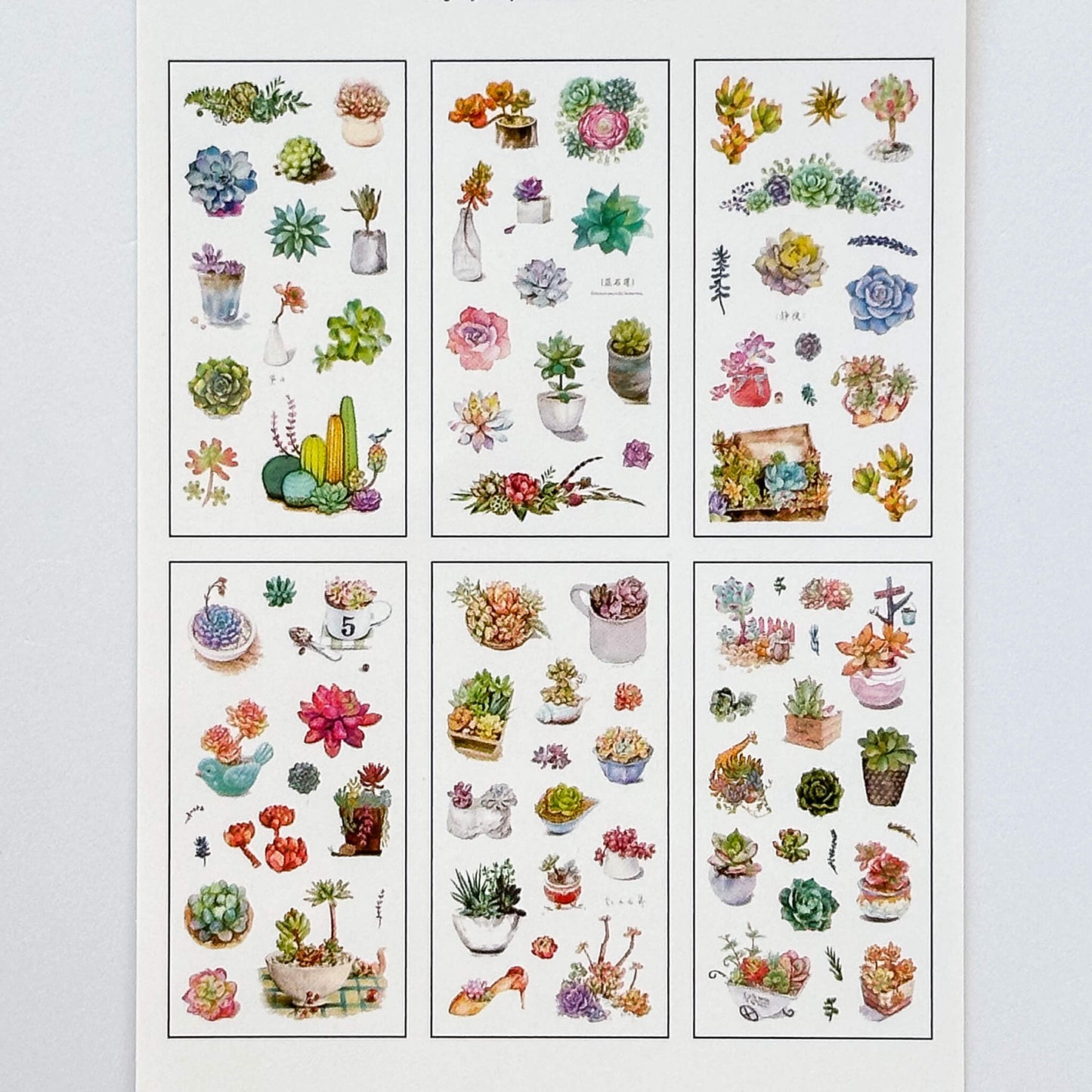 Succulents washi sticker set