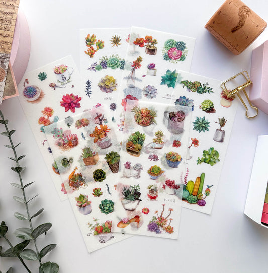 Succulents washi sticker set