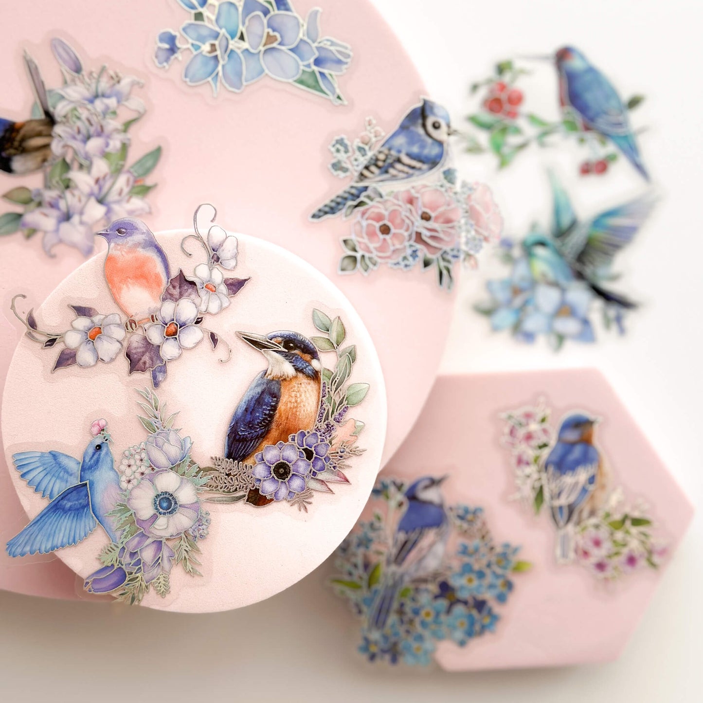 Holographic bird & flowers sticker packs - 20pcs