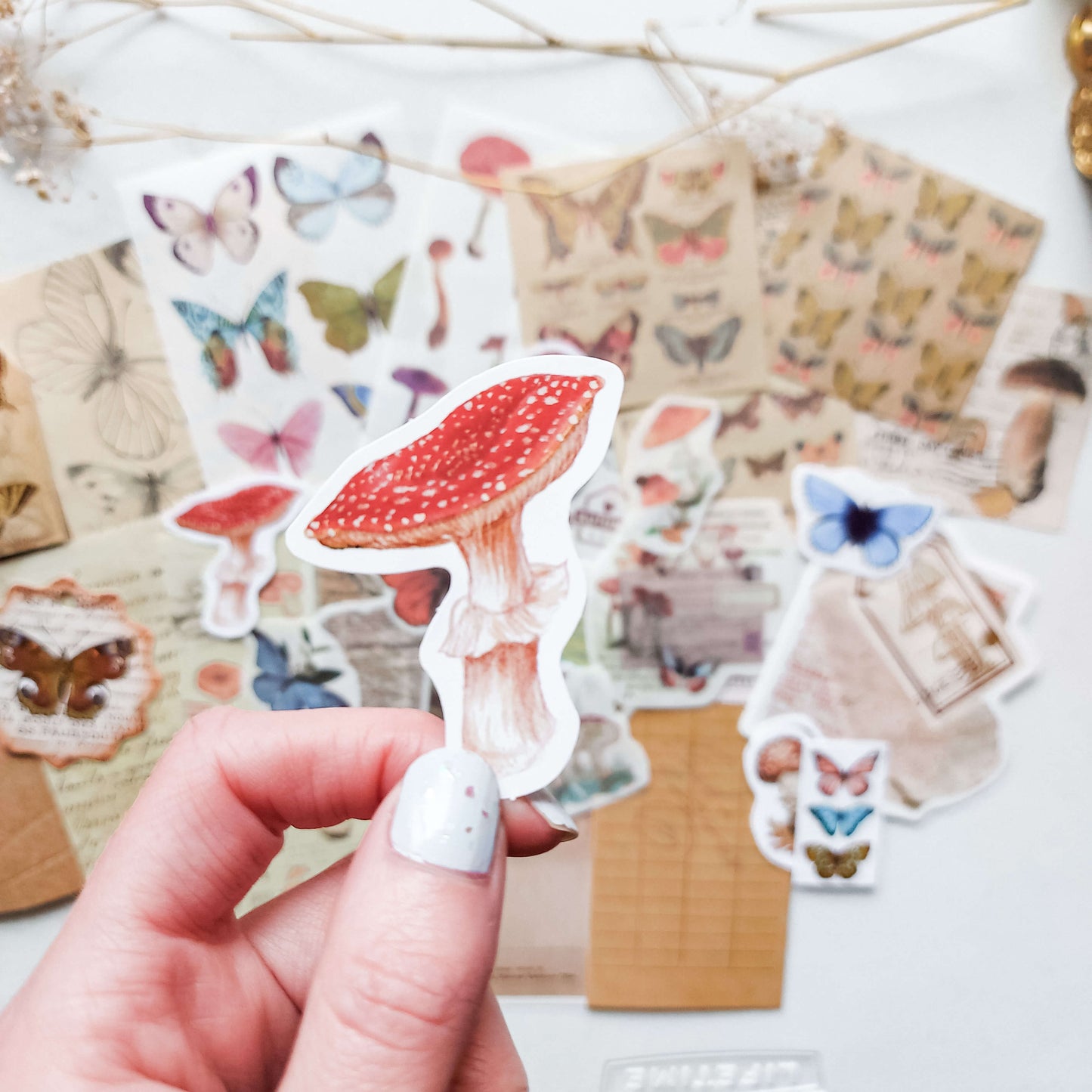 Paper and sticker bundle - Butterflies & mushrooms