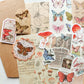 Paper and sticker bundle - Butterflies & mushrooms