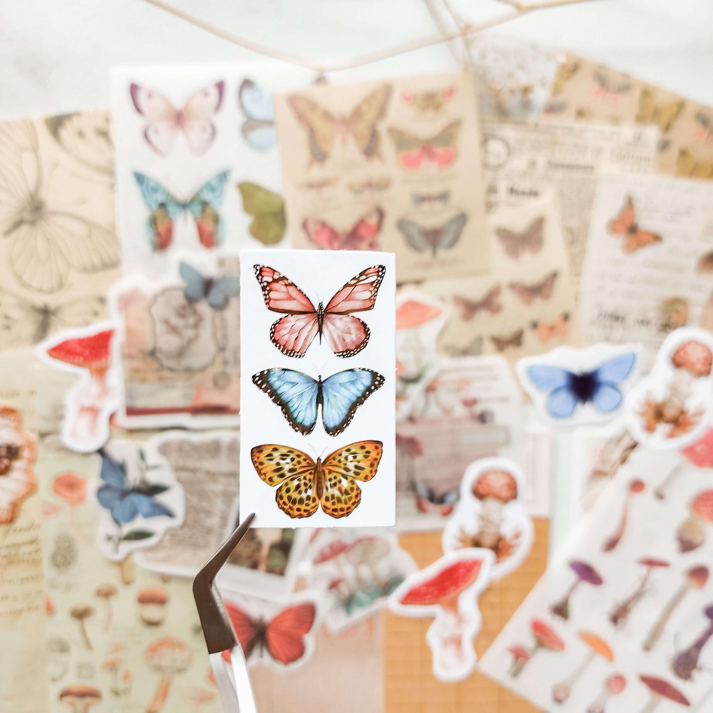 Paper and sticker bundle - Butterflies & mushrooms
