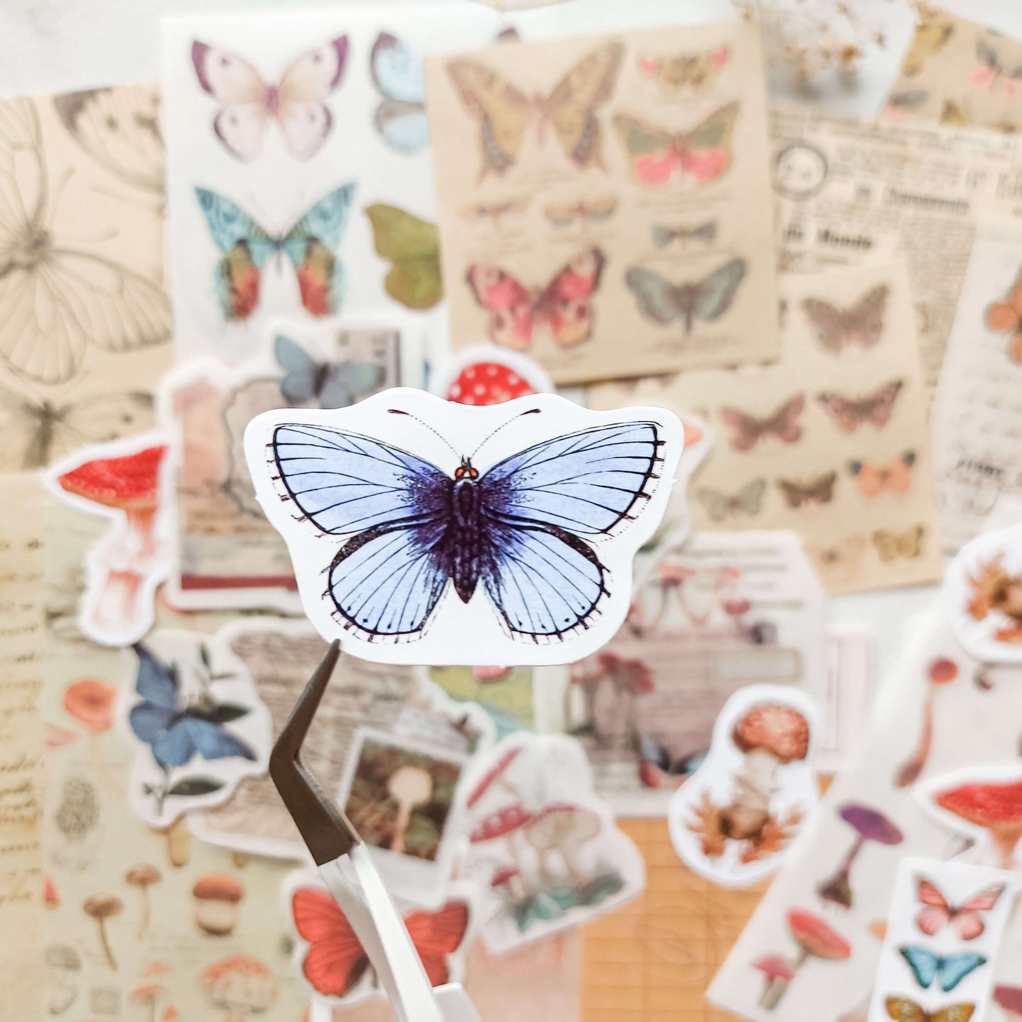 Paper and sticker bundle - Butterflies & mushrooms