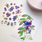 FabriKay Fruit Fairy Sticker Sheet & Art Print Set - Blueberry cats