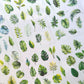 Botanical greenery PET sticker sheets