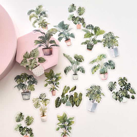 Greenery PET sticker pack - Potted house plants - Style 2 - 30pcs