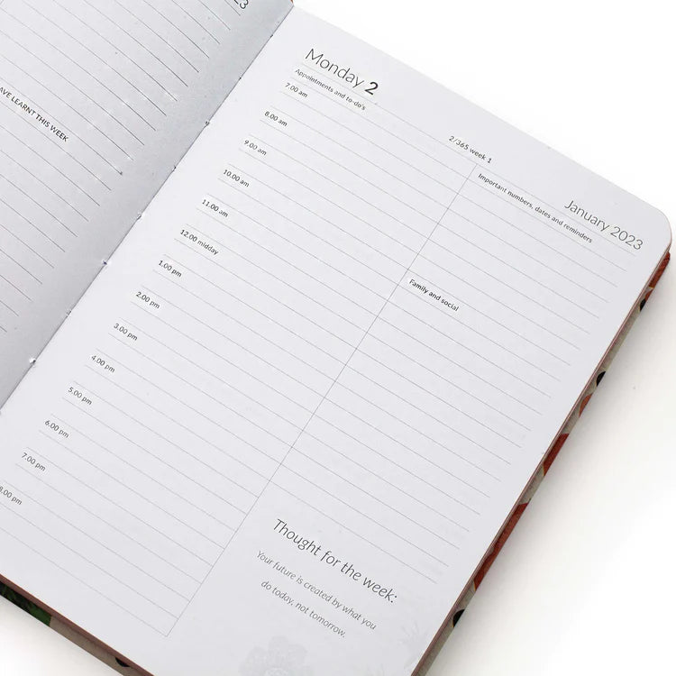 WOW Diary 2024