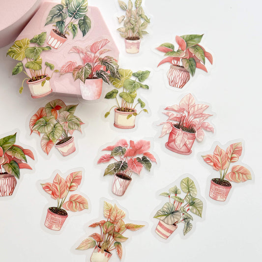 Greenery PET sticker pack - Potted houseplants - Pink - 30pcs