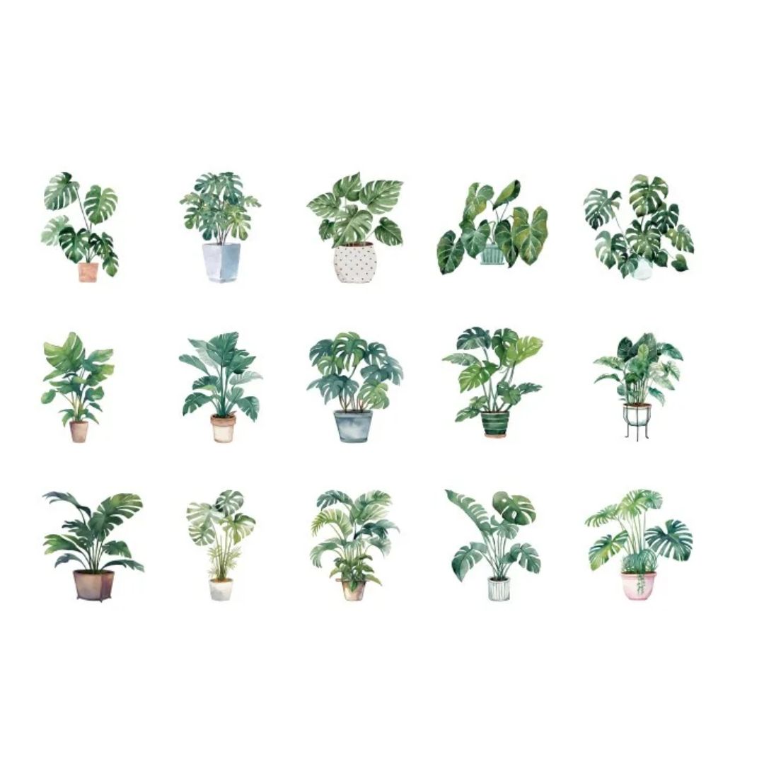 Greenery PET sticker pack - Potted house plants - Style 2 - 30pcs