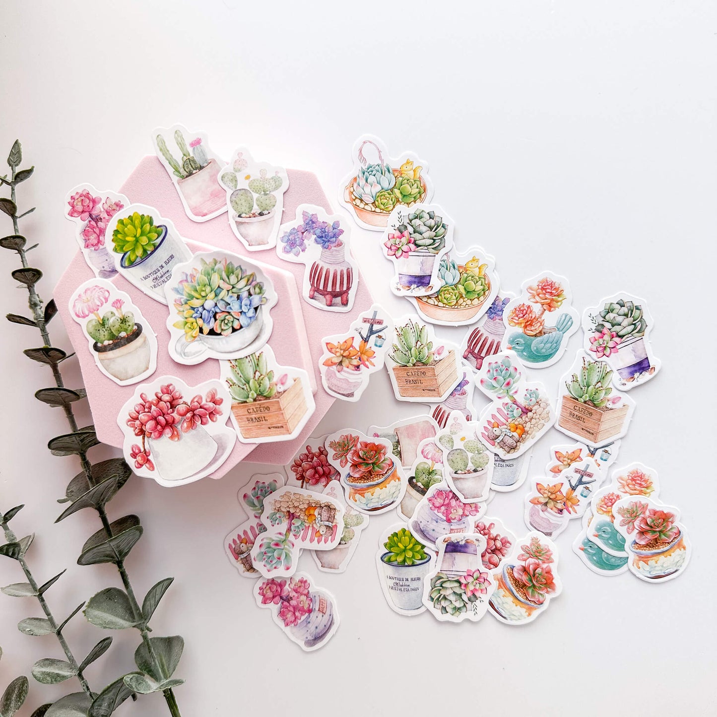 Succulents sticker set