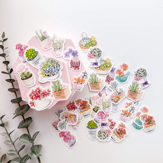 Colourful succulents sticker set