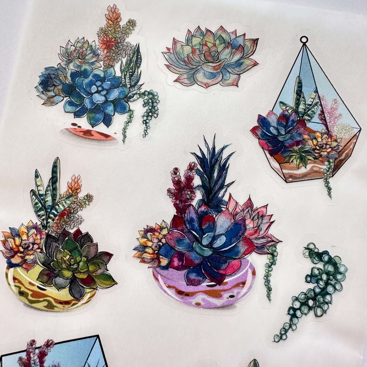 Sticker sheet of succulent illustrations