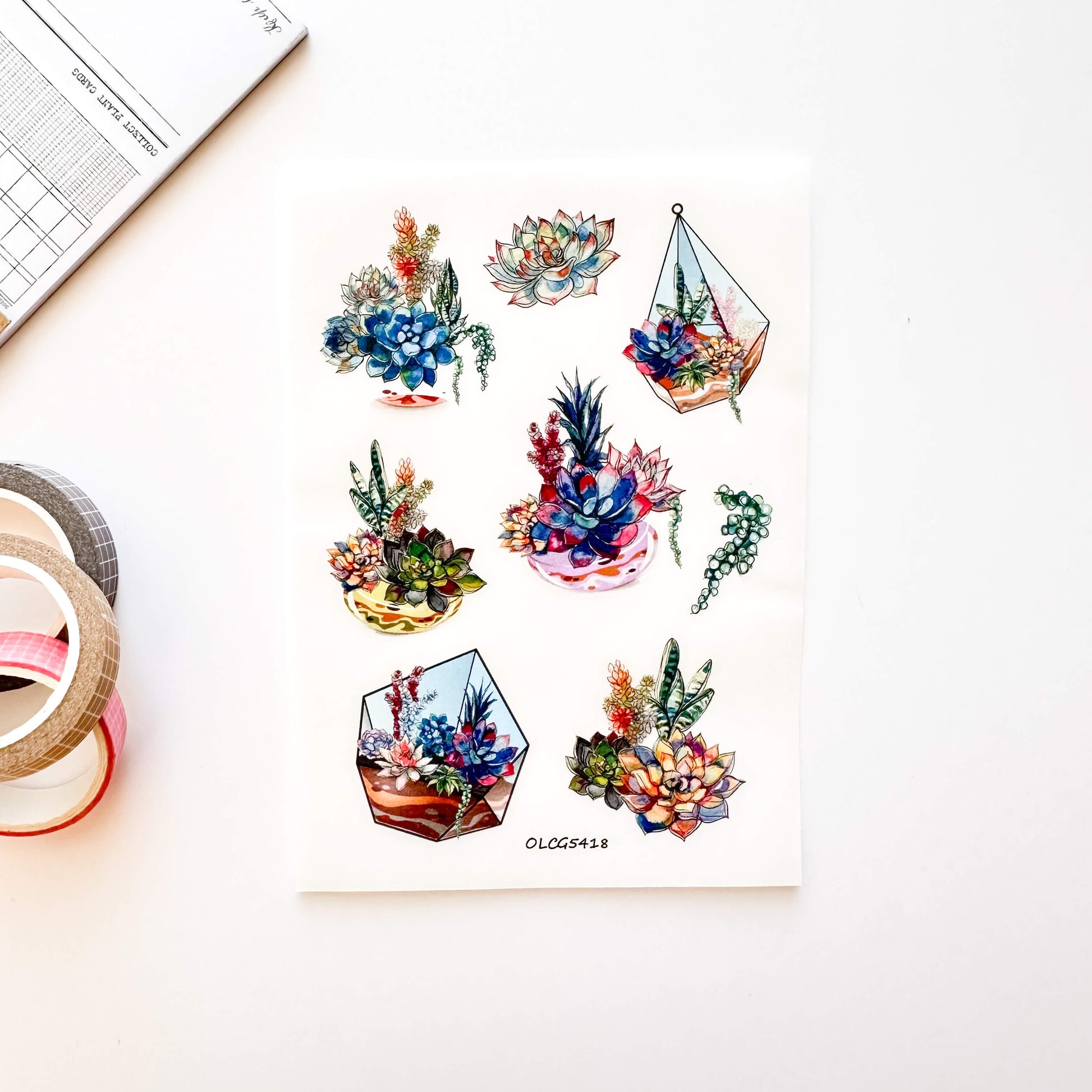 succulents sticker sheet with colorful illustrations