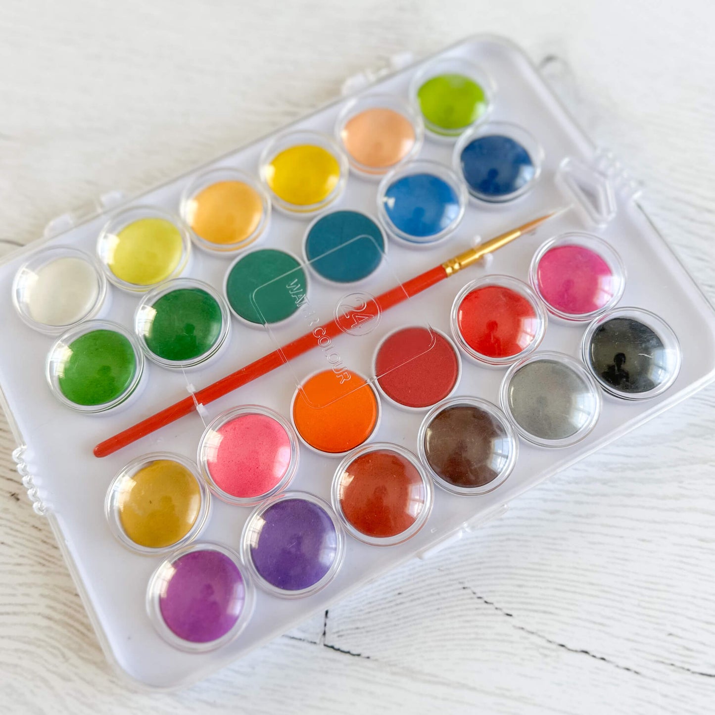 Watercolour paint set with brush