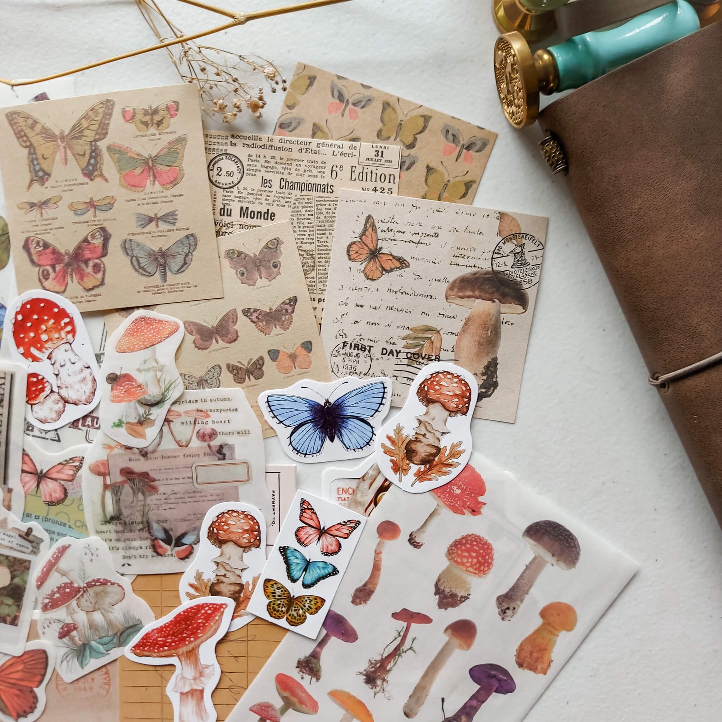 Paper and sticker bundle - Butterflies & mushrooms