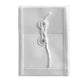 Transparent storage envelope