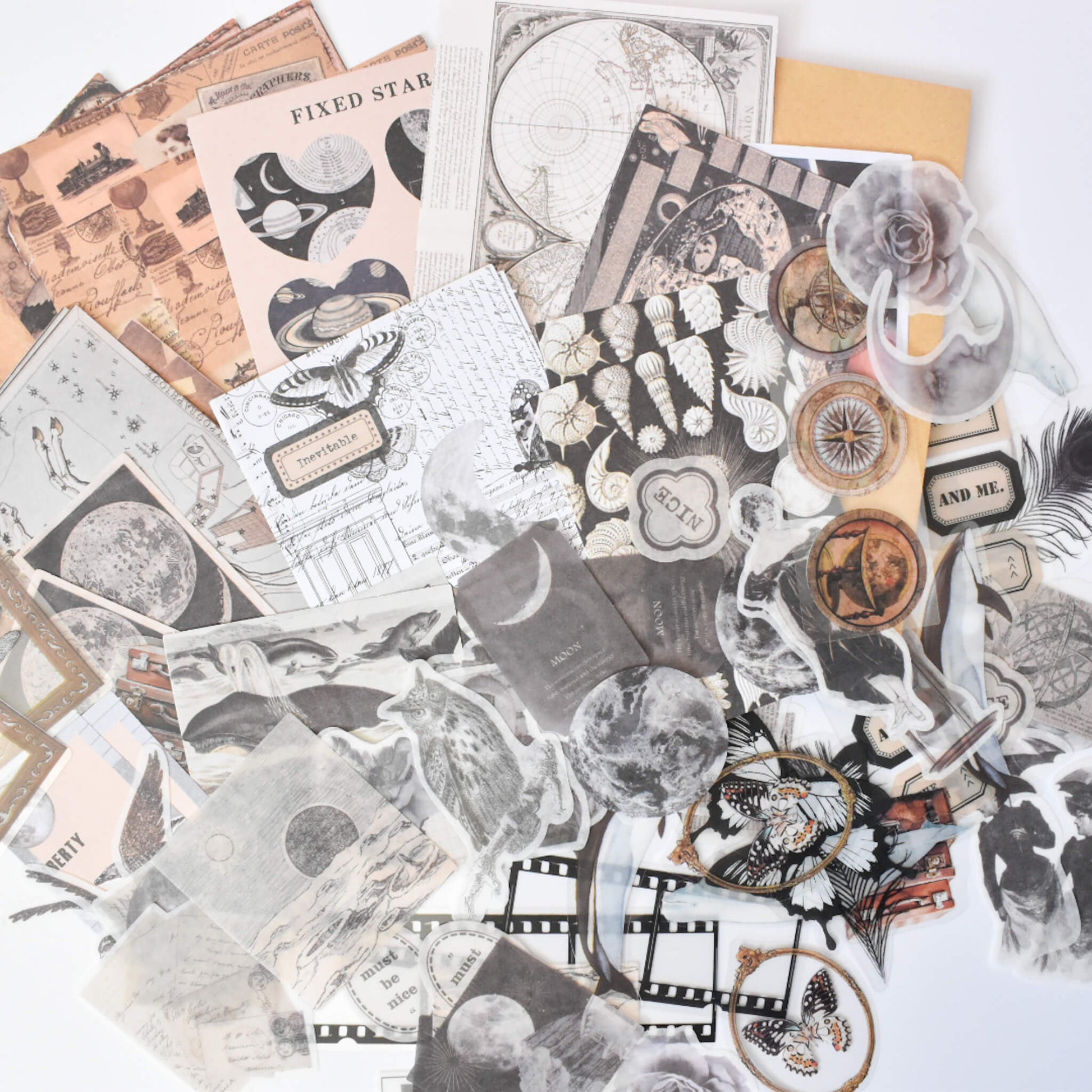 Aquatic academia ephemera bundle - 100 pcs overview 2