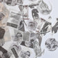 Aquatic academia ephemera bundle - 100 pcs washi sticker detail